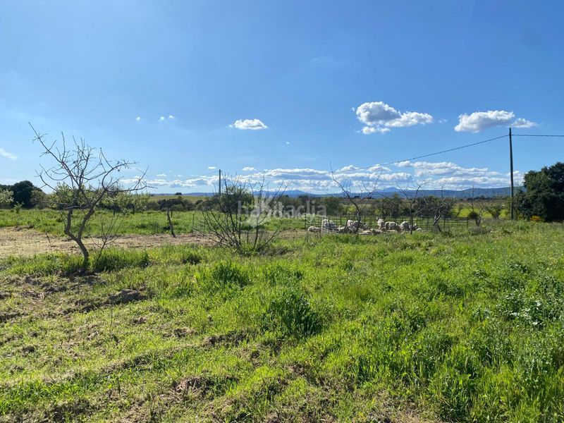 Foto 25303272-4345-483d-861d-3d3a32099358. Finca rústica a Villa del Prado