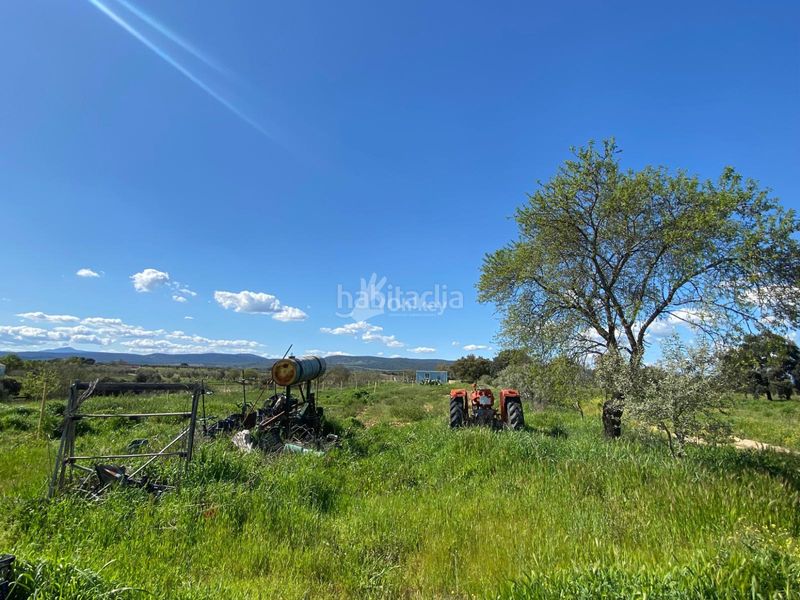 Foto 4312df03-adfb-4186-9f23-e9ee645bb455. Finca rústica a Villa del Prado