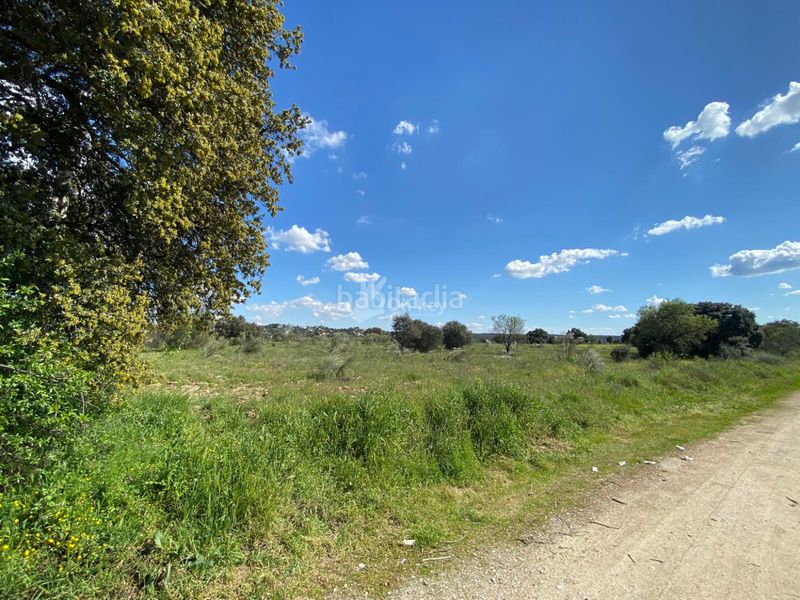 Foto a17efb38-b8b0-404a-bd89-36393320bf00. Finca rústica a Villa del Prado