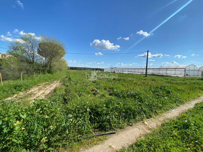 Foto b750d0fd-e544-47ae-9c0b-2a614269e579. Finca rústica a Villa del Prado