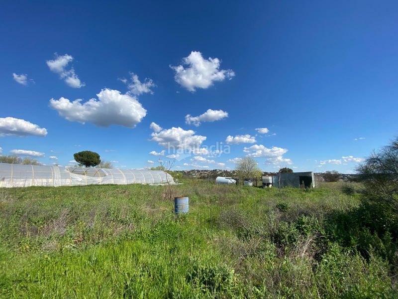 Foto dadb9a52-1ceb-42f5-92be-902cad394f4e. Finca rústica a Villa del Prado
