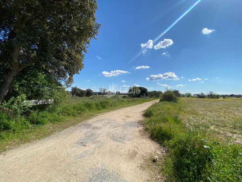 Foto e27aebf6-a562-48fe-8caa-79499c3533d7. Finca rústica a Villa del Prado