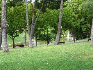 Business premise in San Isidro