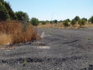 Terreny residencial a Rejas. Suelo urbano en colonia llorente madridbarajas