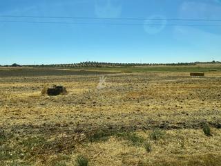 Terreny residencial a Villaconejos. Exclusiva finca rústica de 13.000m2 en venta  villaconejos, junt