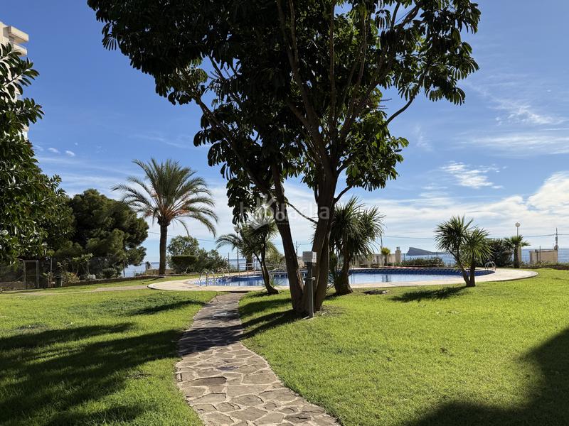 Foto 26b86be4-c0e6-4a92-853b-ce3e820d0918. Flat with heating pool in Playa Poniente Benidorm