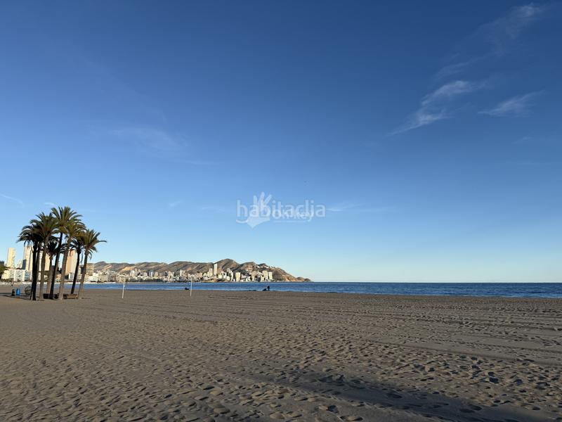 Foto 400718fc-37b9-47c3-808c-c53bdd52dc24. Flat with heating pool in Playa Poniente Benidorm