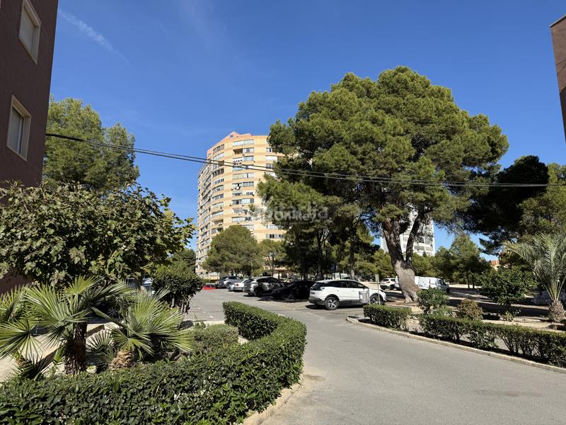 Foto a3bba6e0-0016-4cc5-b87c-4c2e1d9c2725. Flat with heating pool in Playa Poniente Benidorm