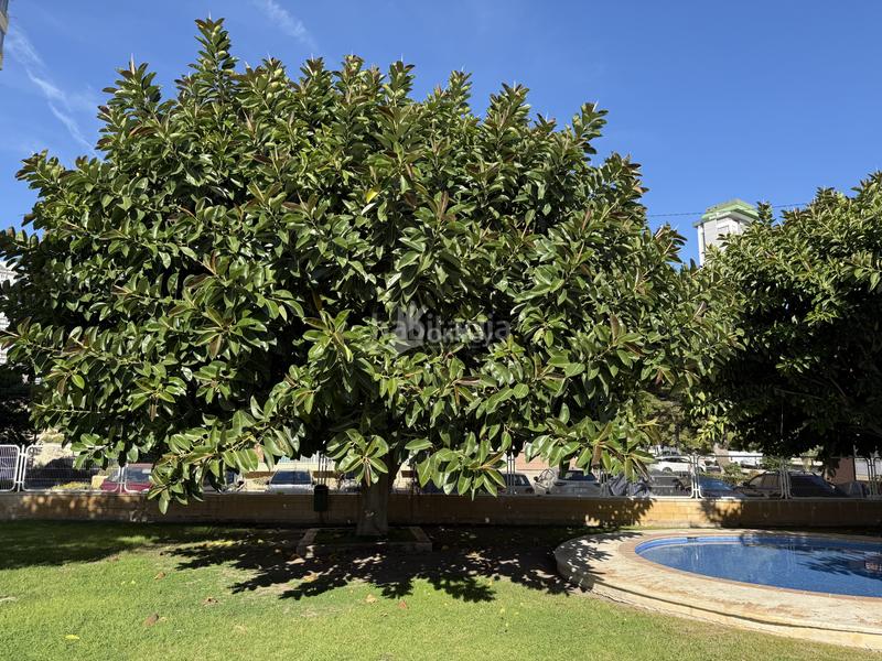 Foto c1bce5fc-a62b-484a-83bc-41c4d3cd00e1. Flat with heating pool in Playa Poniente Benidorm