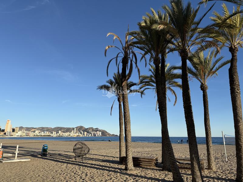 Foto e3de0bcc-a2e3-44c3-b7d5-8e4e05bfbc06. Flat with heating pool in Playa Poniente Benidorm