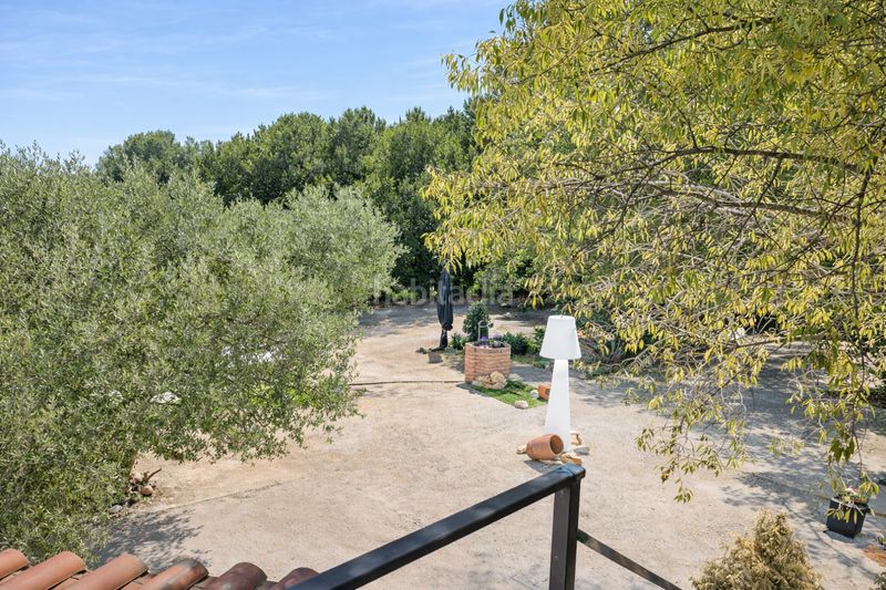 Foto 94f2874c-e981-46ea-b5e7-72d9c913ef32. Finca rústica a Chinchón