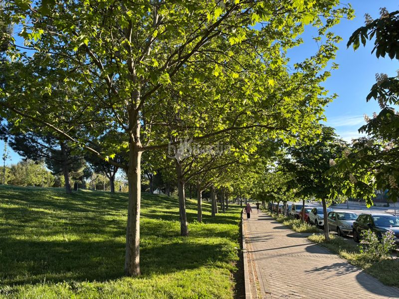 Foto 8968fd78-c148-4b12-80e3-19abffbe1b2b. Pis amb aparcament piscina a Ensanche de Vallecas-La Gavia Madrid