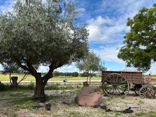 Flat in Perales del Río. Bajo exterior en una de las zonas con más encanto de perales del