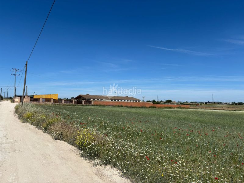 Foto 4a9329e4-45e7-45f1-b22e-59fa224ce4a3. Finca rústica a Humanes de Madrid