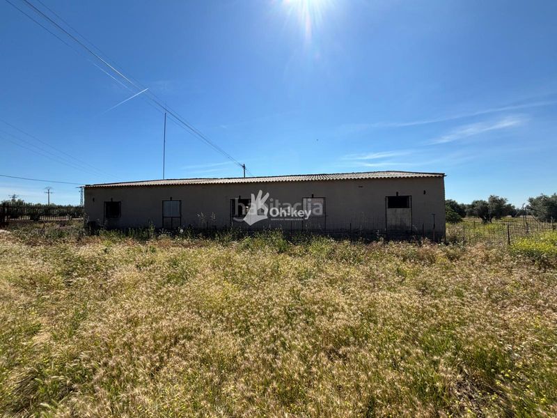 Foto 66bf26ba-d86d-4e67-97fb-fa201fa118f4. Finca rústica a Cedillo del Condado