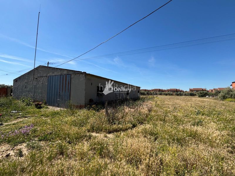 Foto 74424096-43d6-4f4d-aa4f-79e291778224. Finca rústica a Cedillo del Condado