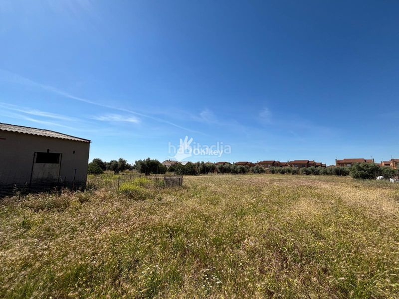 Foto ae8823fa-fb32-49e2-bc84-fe4b37c3bc2f. Finca rústica a Cedillo del Condado
