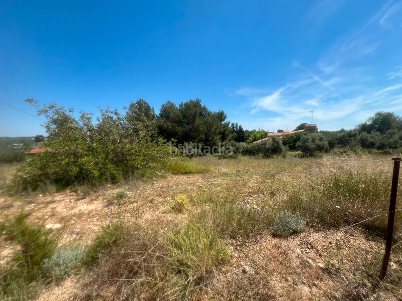 Foto 31f29249-59dc-4e83-8b24-4d65a484091b. Propriété dans Godelleta