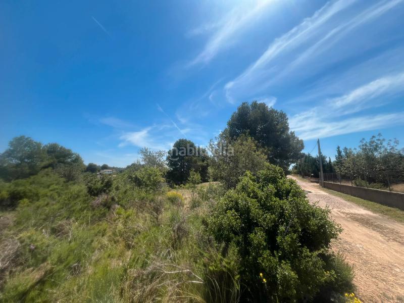 Foto 85c637eb-b2cc-447c-ac97-c522bdb6b969. Propriété dans Godelleta