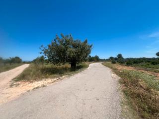 Finca rústica a Godelleta. Parcela rustica en godelleta