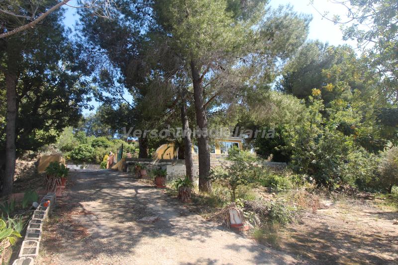 Foto e6c58b3f-6c3a-495b-885f-84912c61c1de. Chalet  a 5 minutos de godelleta en Los Rosales Madrid