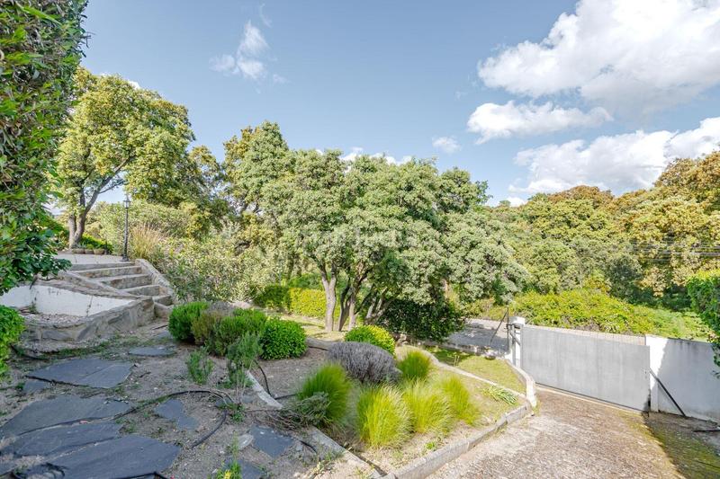 Foto 7d3b4261-b79a-4642-9a8d-bd4aa7b6b8e3. Chalet en Pino Alto-Navarredonda Valdemorillo