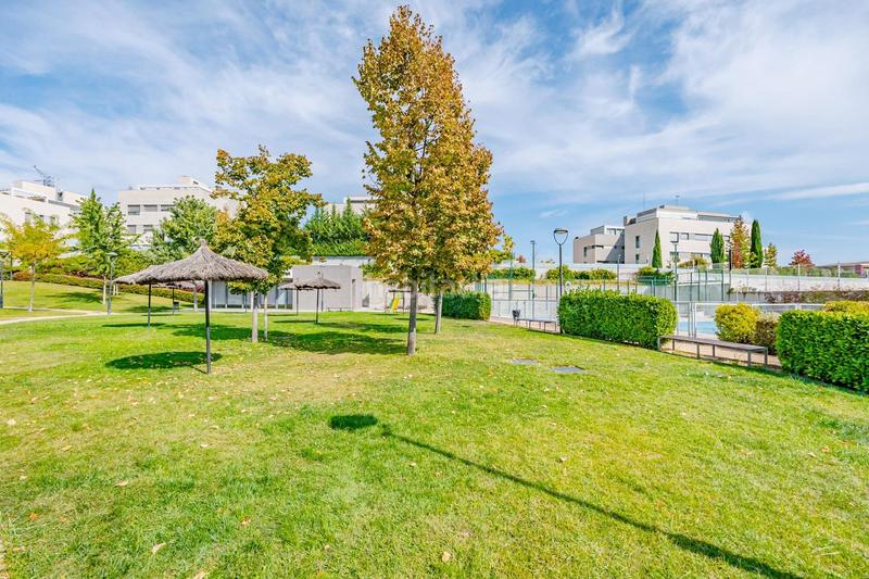 Foto 2d31a801-6ca7-47b0-acdf-2132c0175b45. Alquiler planta baja exclusiva vivienda en planta baja con jardín privado en Madrid