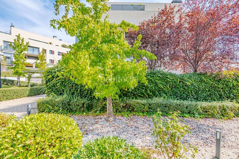 Foto 48b2f983-76ed-40a3-996c-4652e24bc8b0. Alquiler planta baja exclusiva vivienda en planta baja con jardín privado en Madrid