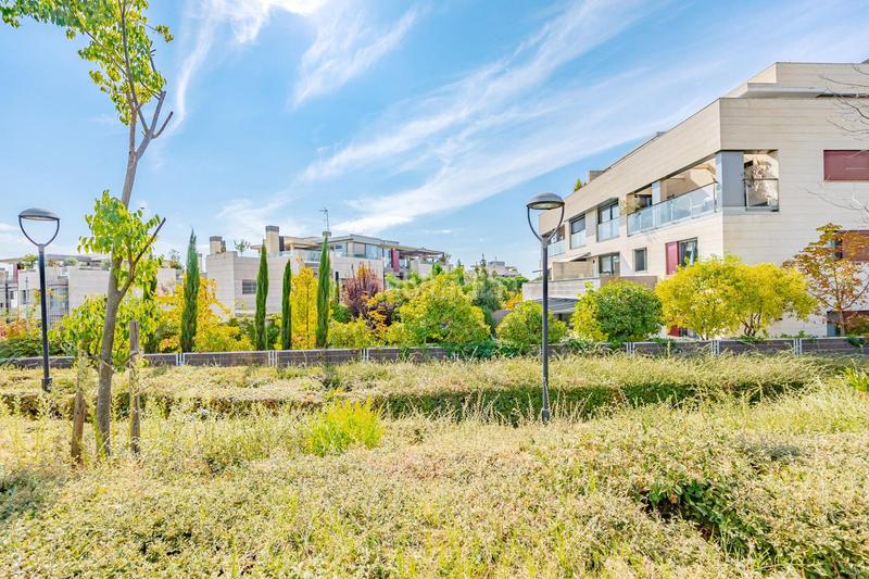 Foto c85991f3-8f8a-45b4-a3da-0efad537a750. Alquiler planta baja exclusiva vivienda en planta baja con jardín privado en Madrid