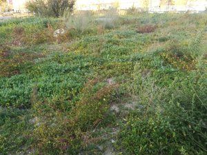 Industrial plot in Campodón-Ventorro del Cano