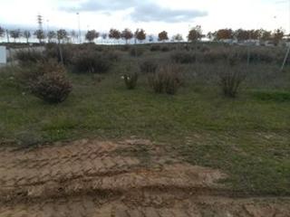 Solar industrial en Campodn-Ventorro del Cano