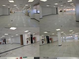 Bureau à Buena Vista