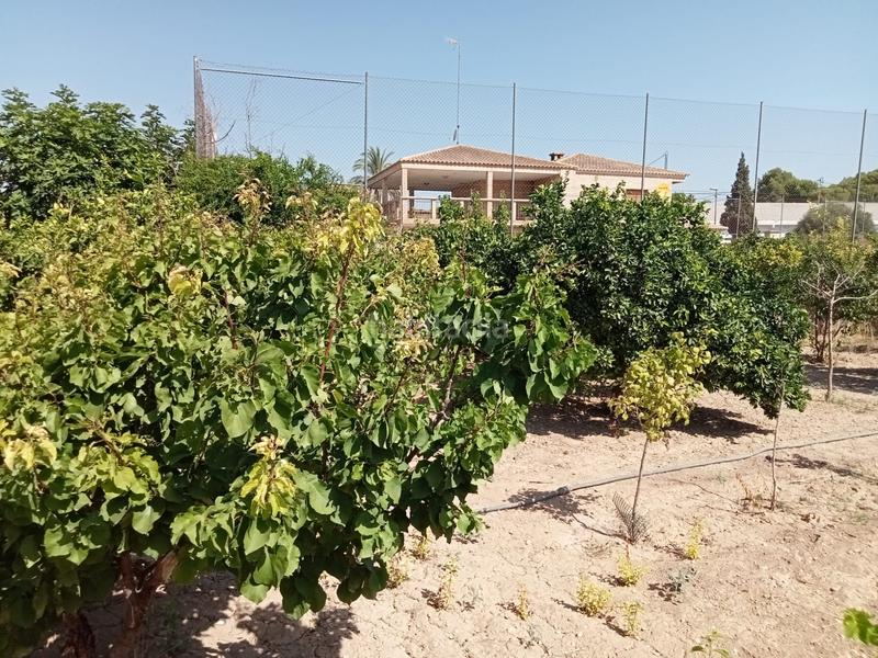 Foto bdef0428-08a7-48ee-8df7-0f29296c34d2. Chalet en El Esparragal Murcia