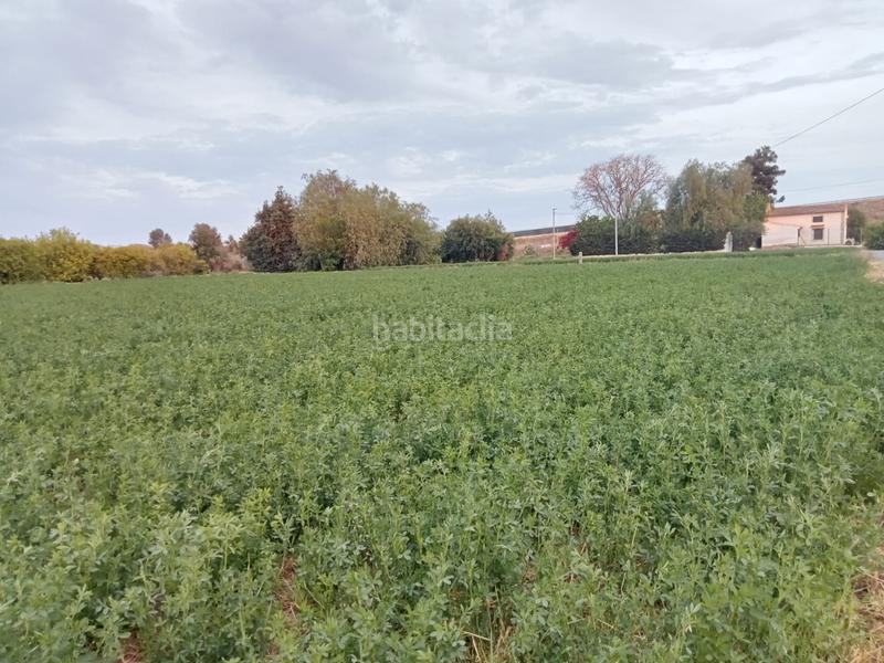 Foto 4f2a6ebb-bb40-4109-bf5e-c974265123ba. Terreno residencial en Zeneta Murcia