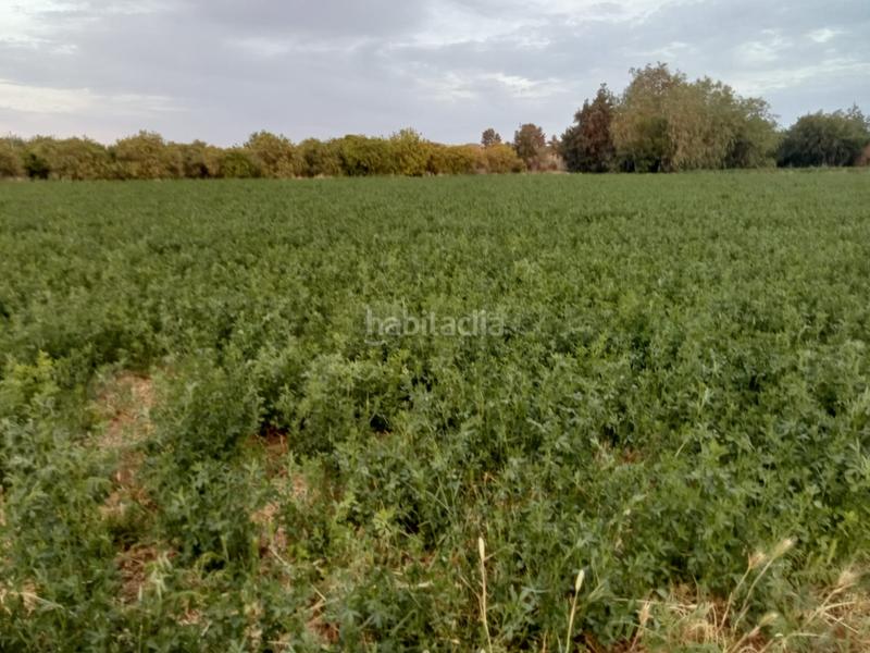 Foto 854412e5-a795-4604-80cb-f6bdacb1bb85. Terreno residencial en Zeneta Murcia