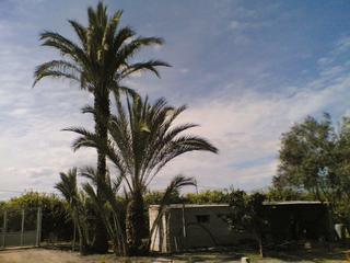 Rural plot in Llano de Brujas