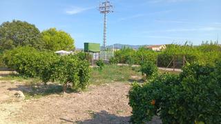 Finca rústica en Era Alta