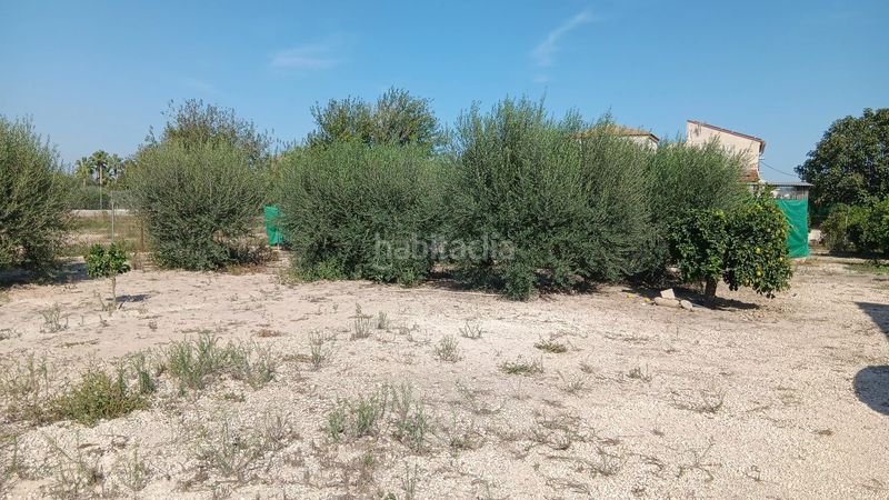 Foto 50369e32-d55b-4955-b43e-8f18d14e909c. Finca rústica a Era Alta Murcia