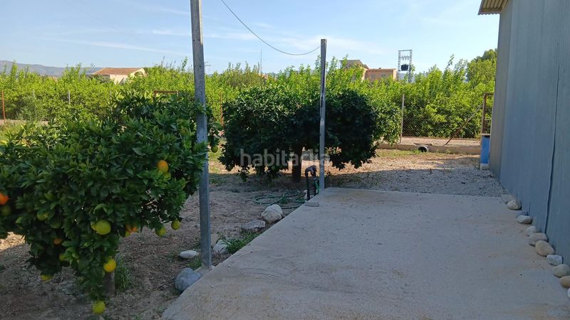 Foto fcdf5f01-d09d-4da1-8c89-5798c563e854. Finca rústica a Era Alta Murcia