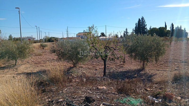 Foto cde9d894-1564-4940-8999-74c09cc4db49. Casa amb xemeneia piscina a Carrascoy-La Murta Murcia