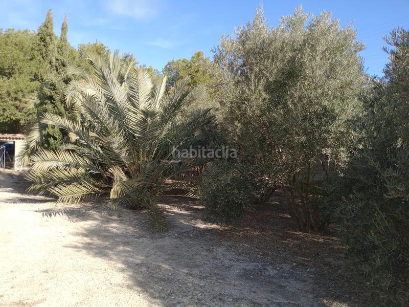 Foto d655519f-5de7-40fe-be41-f1bac8ecda27. Terreno residencial terreno en venta en Los Vientos - Casa Ros Molina de Segura