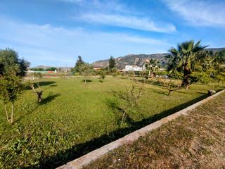 Finca rústica en Algezares. Parcela en venta en algezares