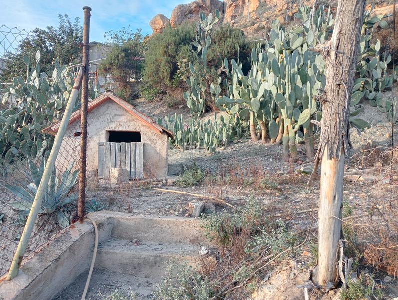 Foto 03b0127c-7c73-4ba6-9315-03a3f332ecd7. Casa amb xemeneia a Monteagudo Murcia