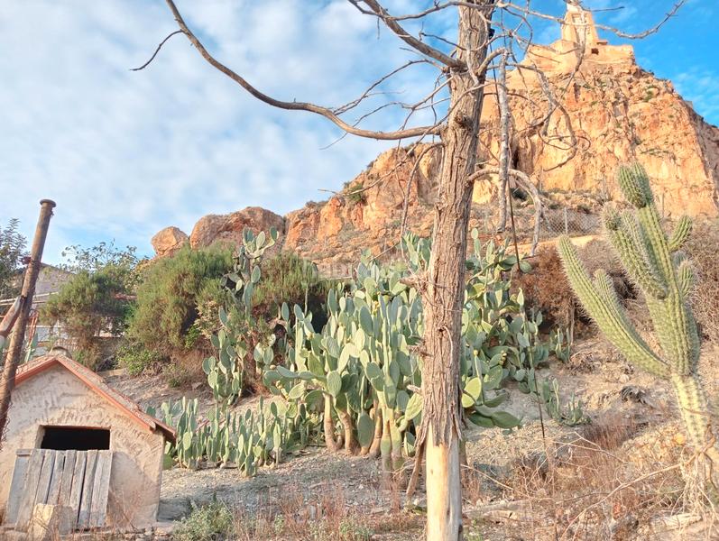 Foto cfa6fea1-2c87-49aa-9967-65727d5d0db8. Casa amb xemeneia a Monteagudo Murcia