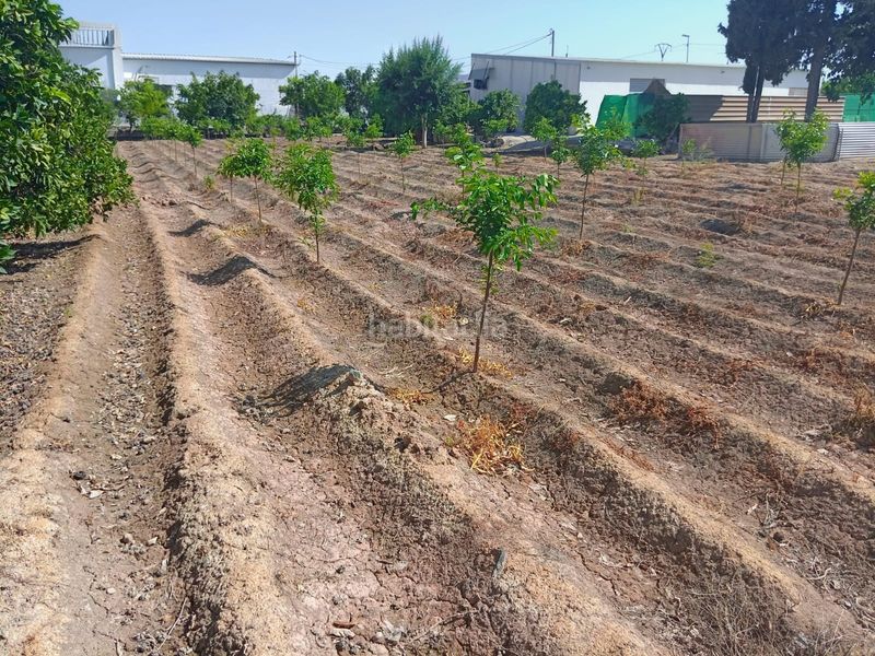Foto a33efcbc-0ed8-43e2-bdec-3e580980ad7c. Apartament amb xemeneia aparcament a El Raal Murcia