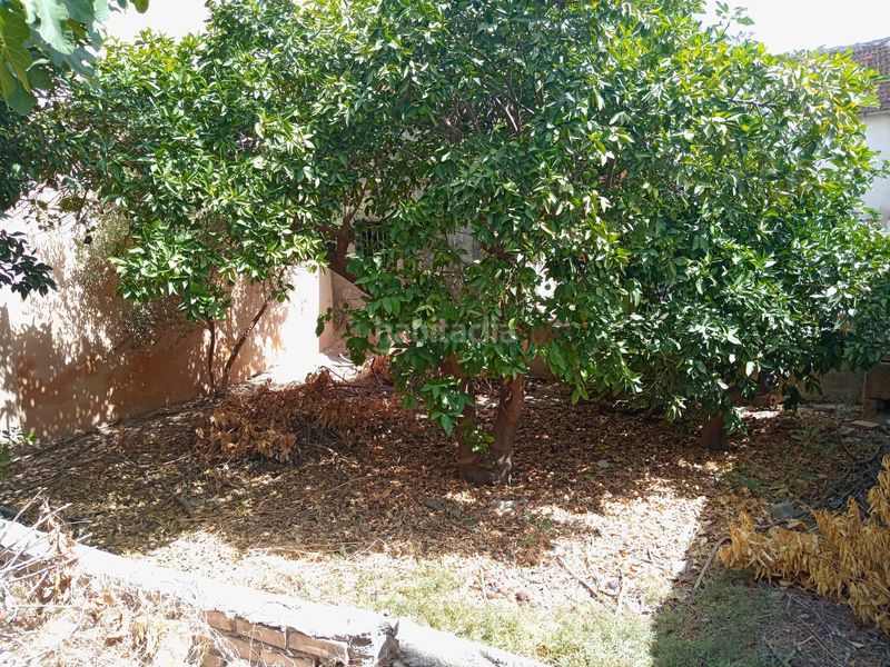 Foto 6ea6e1f9-473f-495e-8a57-ea05c3109707. Casa amb aparcament a El Palmar Murcia