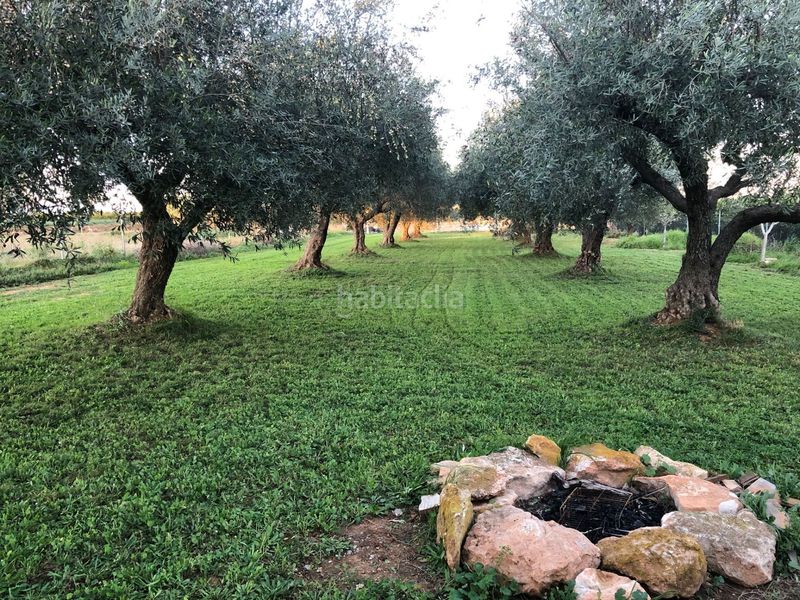 Foto 55d58fb1-f65d-4c3c-a5d3-64e58b8a9a27. Finca rústica a Pueblo Benicarló