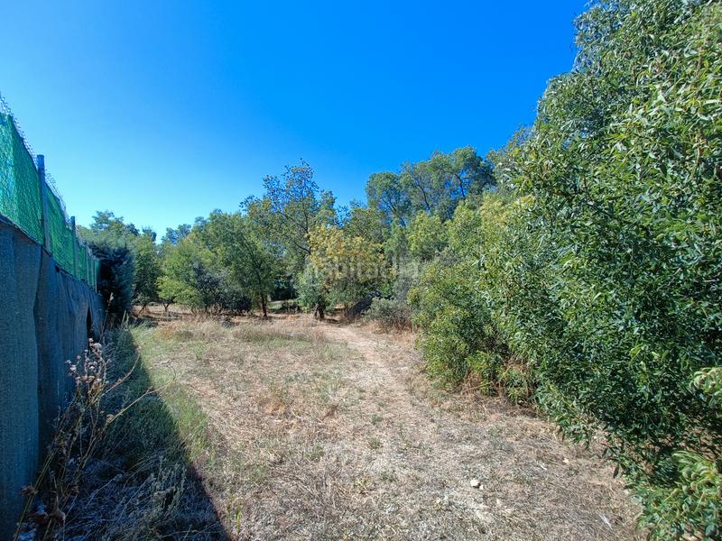 Foto 10205df8-597a-4ac8-8454-1b86b5419a88. Terreny residencial a Mojadillas-Parque de las Infantas-El Paraiso Valdemorillo