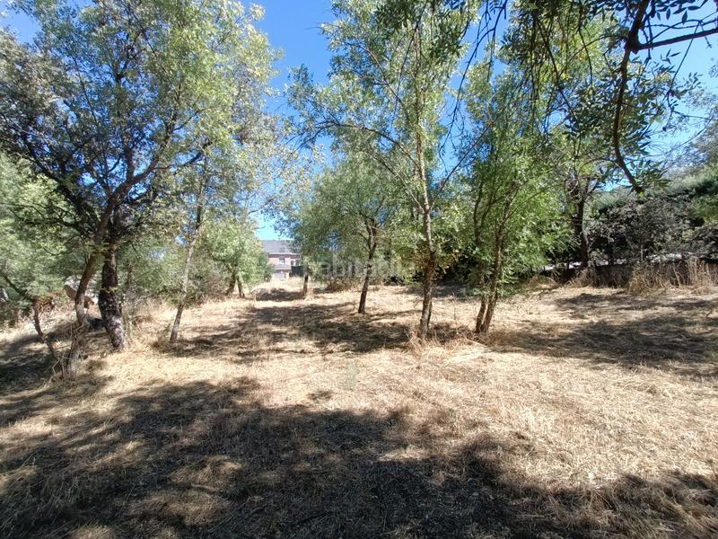 Foto 4b083aa2-22f6-4077-93ff-dbf2f53e16a0. Terreny residencial a Mojadillas-Parque de las Infantas-El Paraiso Valdemorillo
