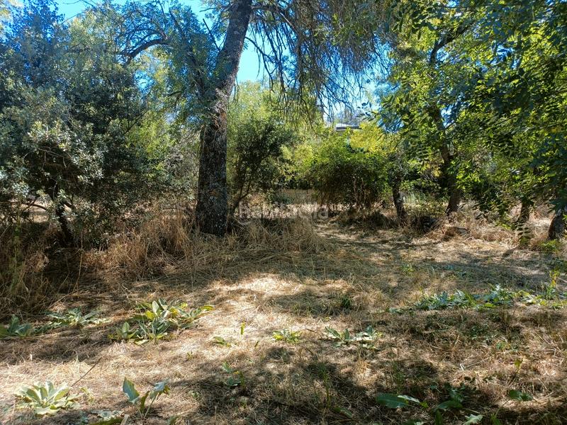 Foto 5a9b782f-7625-470f-8a3b-8c30fd22a753. Terreny residencial a Mojadillas-Parque de las Infantas-El Paraiso Valdemorillo